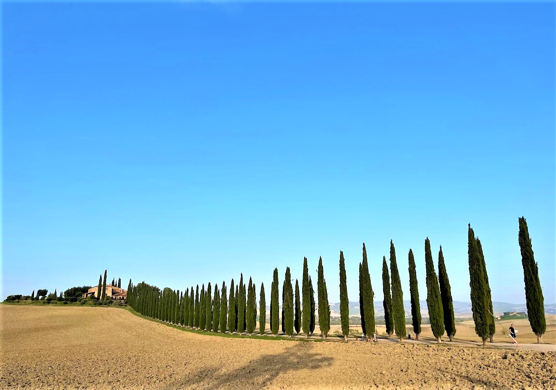 Landskabet omkring San Quirico d'Orcia (2)