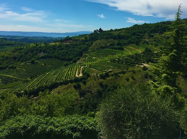 Strada del Prosecco