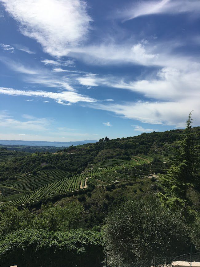 Vinmarker-ved-San-Giorgio-di-Valpolicella