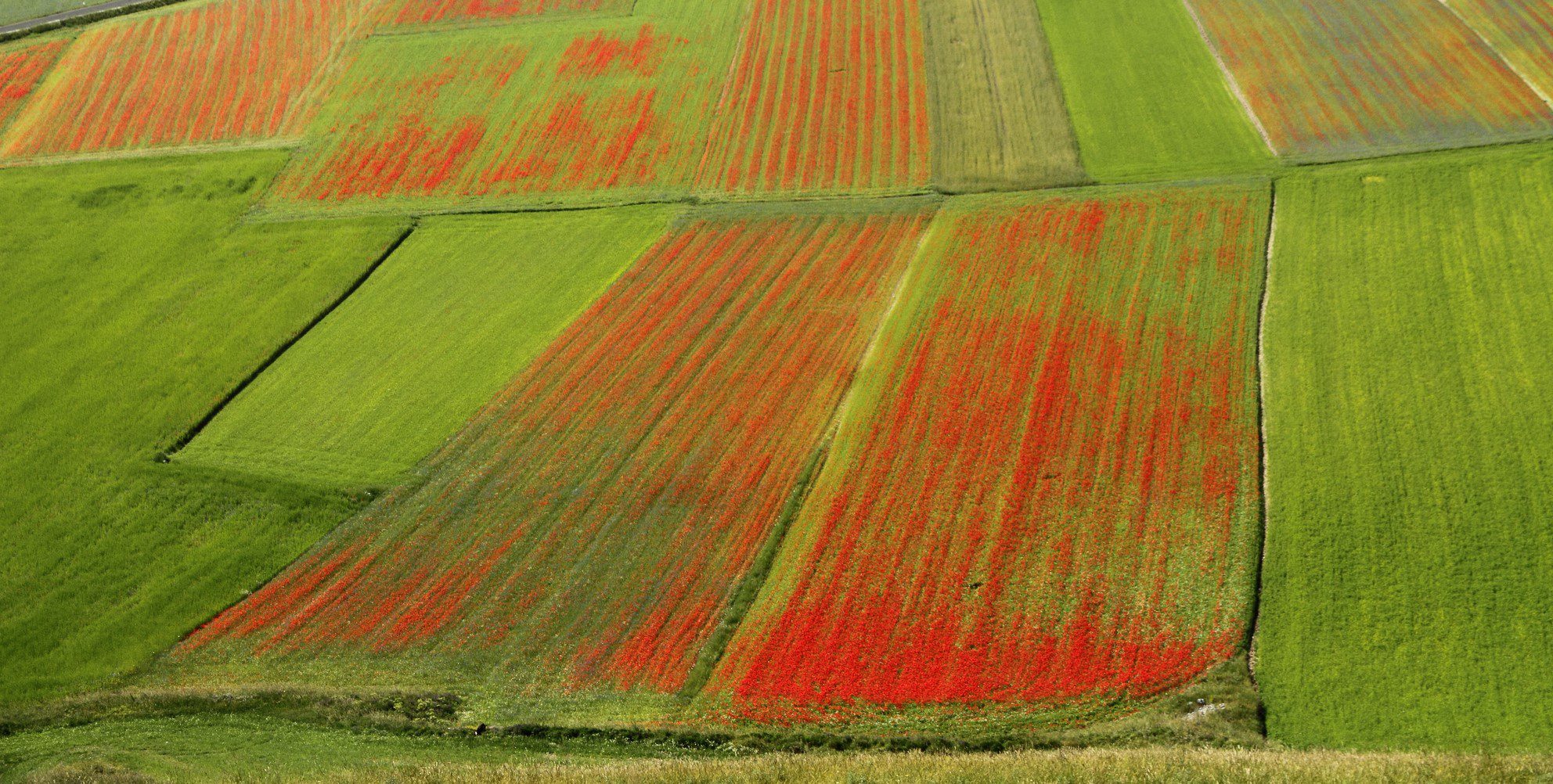 Castelluccio i Umbrien