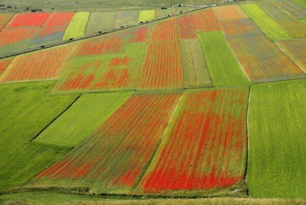 Castelluccio di Norcia i Umbrien