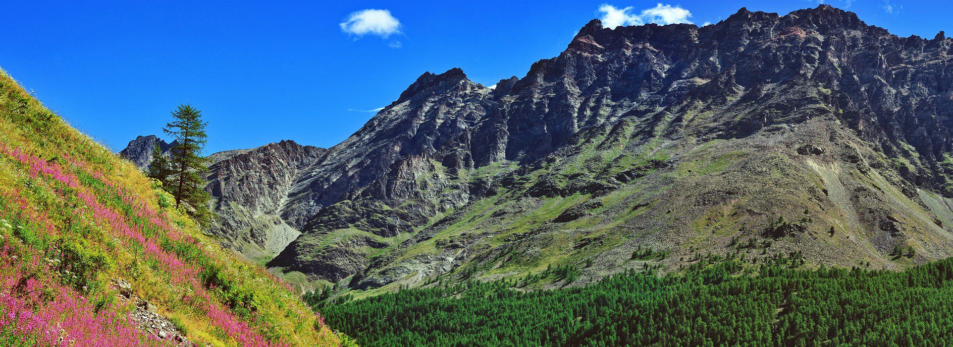 Gran Paradiso nationalpark